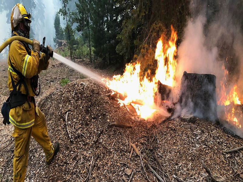 Departamento de bomberos de San Francisco Los incendios forestales en las monatñas de California han provocado la pérdida de más de 78.000 acres de bosque
