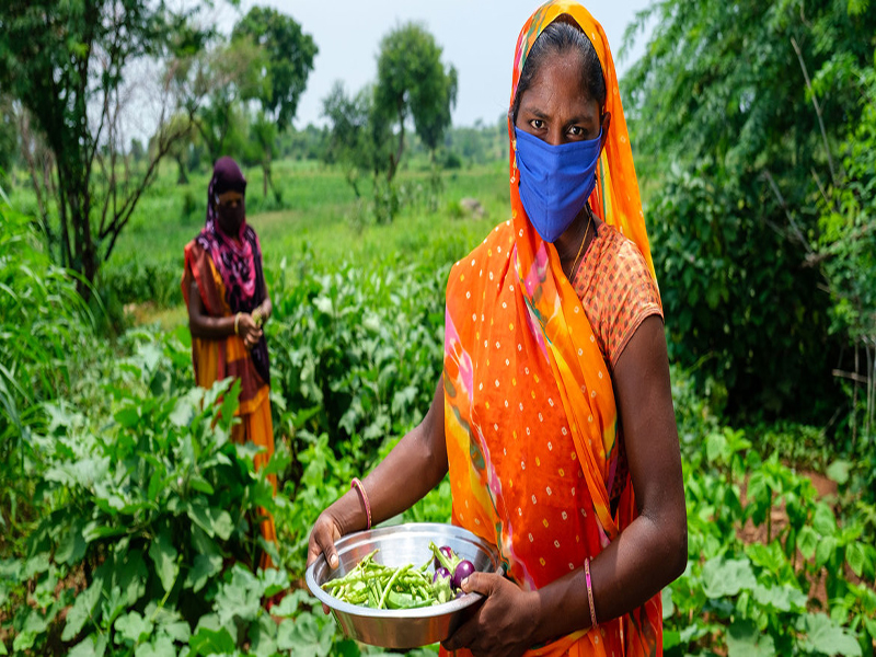 UNICEF/Vinay Panjwani. Mujeres cultivando hortalizas en una granja de la India como parte de un programa de desarrollo rural apoyado por UNICE