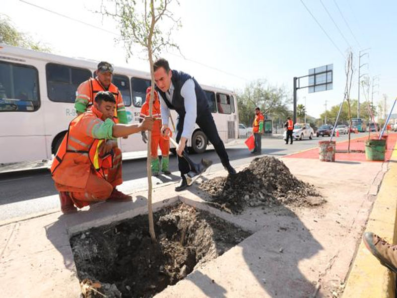 El Alcalde  plantó de manera simbólica un ébano, del centenar de árboles endémicos de la región