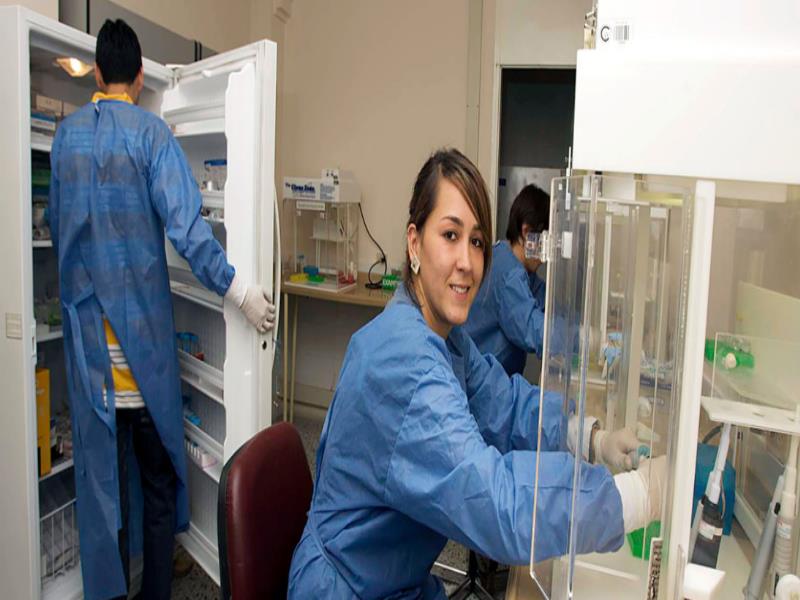 OMS/OPS//Jane Dempster Asistentes de laboratorio sobre el Virus del Papiloma Humano y el Instituto de investigación sobre el Cáncer en Colombia