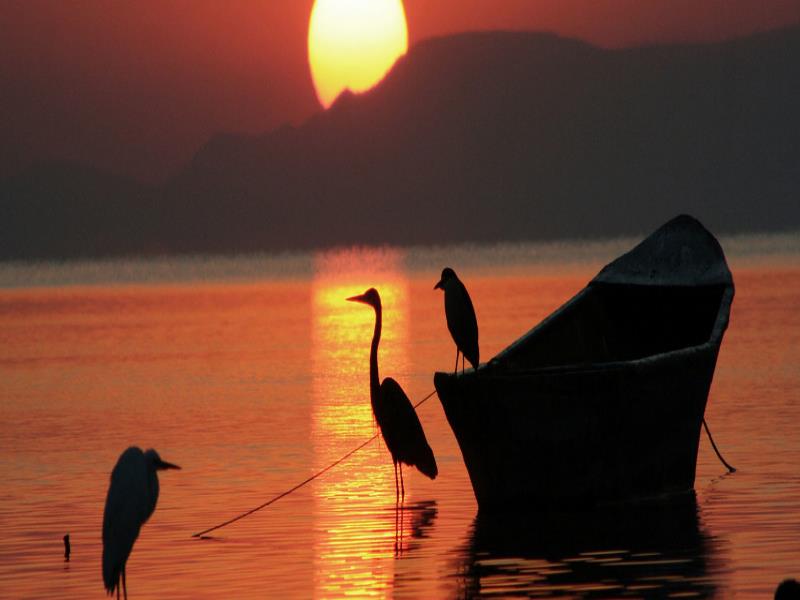 OMM/Victor Hugo Amanecer en el lago Chapala, en México
