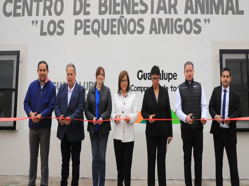 La Alcaldesa Cristina Díaz Salazar hizo un llamado a las organizaciones que atienden el bienestar de todo ser vivo para conformar una mesa de trabajo y modificar juntos el Reglamento para la Protección de los Animales