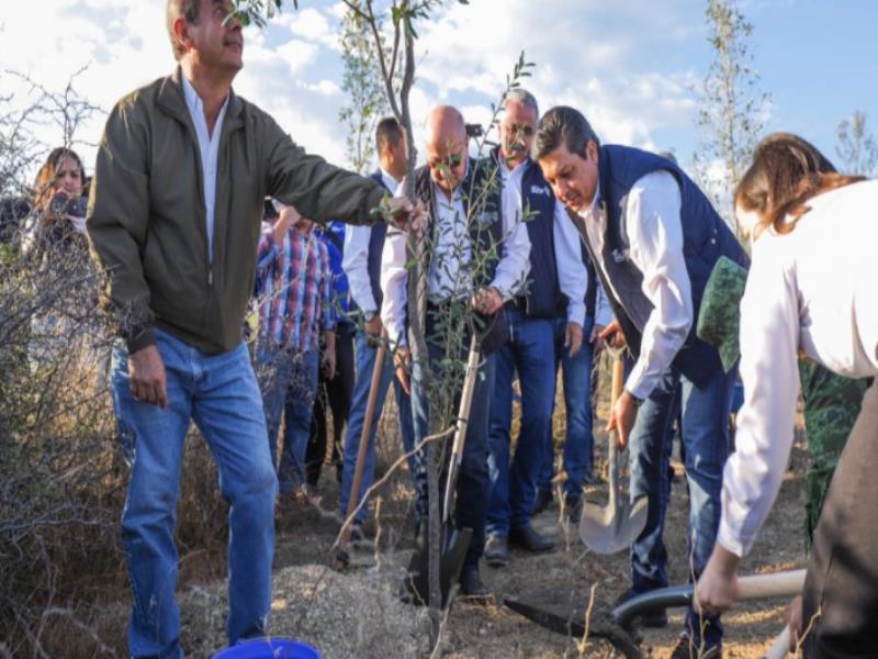 Bajo la estrategia del Plan Unidos por Tamaulipas, se han donado 25 mil 900 árboles en los municipios de Nuevo Laredo, Miguel Alemán, Valle Hermoso, Reynosa, Padilla, Güémez, Casas, Soto la Marina, Ciudad Victoria y Tampico