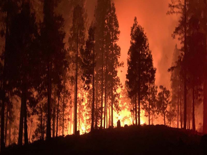 Departamento de bomberos de San Francisco Los bomberos de California y otras partes de la costa oeste de Estados Unidos luchan por contener los incendios forestales. (Archivo)